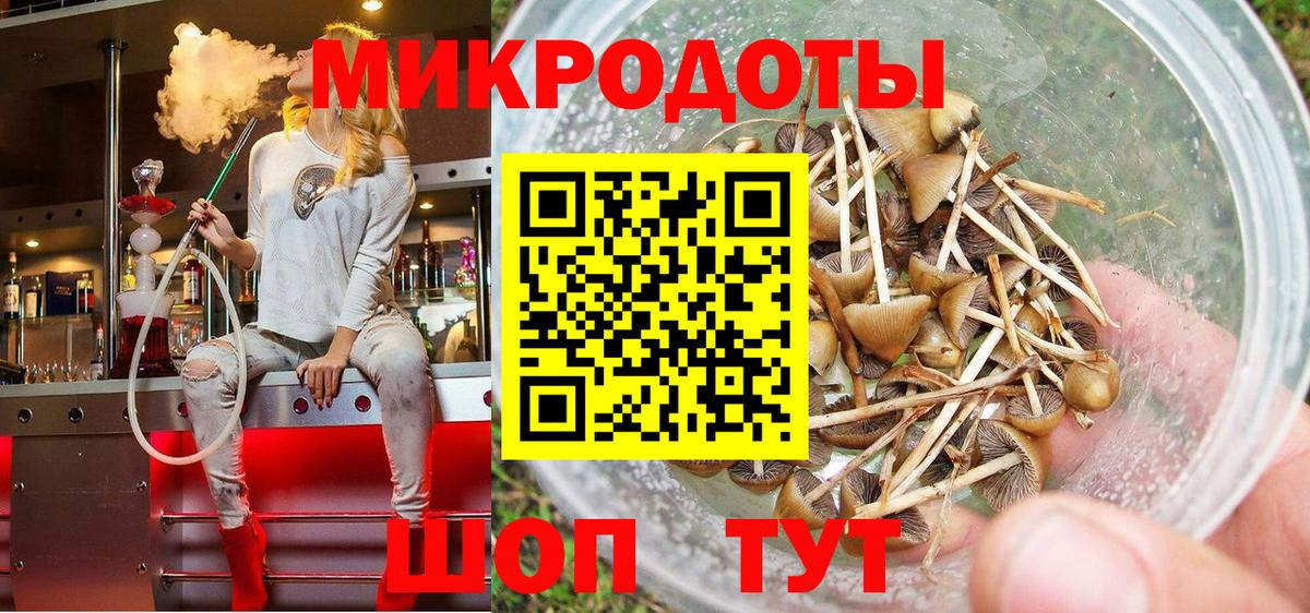 Тара  где продают   Вход с VPN  Псилоцибиновые грибы ЛСД 